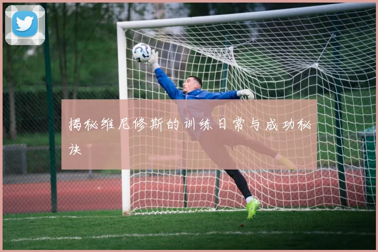 揭秘维尼修斯的训练日常与成功秘诀