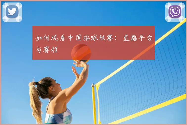 如何观看中国排球联赛：直播平台与赛程