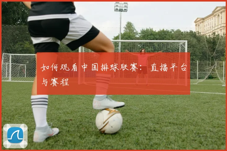 如何观看中国排球联赛：直播平台与赛程