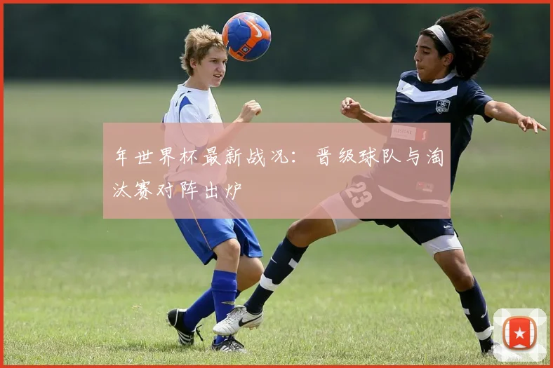 年世界杯最新战况：晋级球队与淘汰赛对阵出炉